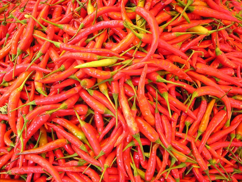 chilli-pepper-449_960_720